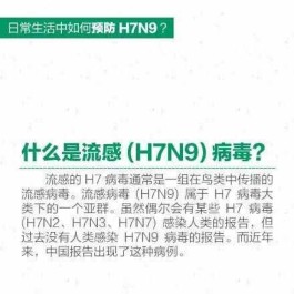 h7n9死亡人数（2021年禽流感将大爆发吗）
