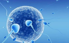 沈阳三代试管婴儿费用高不高（沈阳第三代试管婴儿医院哪家好）