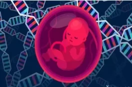 百分百生男孩的方法有哪些怎样测怀的是男孩还是女孩