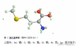 蛋氨酸硒（酵母硒和蛋氨酸硒的特点与优劣比较）