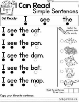 看了动物的英文（50个动物英语单词）