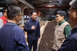  茅台集团董事长丁雄军调研茅台酒三轮次生产