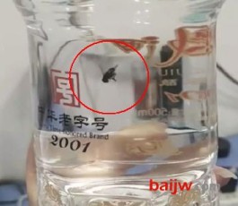 西凤酒回应未开封白酒出现苍蝇：需进行真伪鉴定