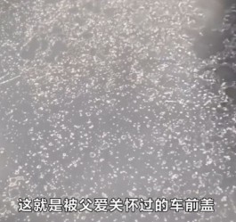 老父亲用钢丝球帮儿子洗车  [儿子要保存这份爱]