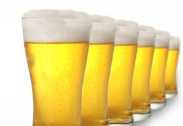 啤酒百科全书,「酒水百科」爱酒更懂酒之啤酒