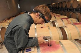 送白酒好还是红酒好(送白酒有哪些优势)