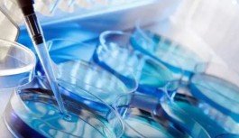 南宁三代试管婴儿成功率多少(南宁试管婴儿医院排名) 南宁三代试管婴儿成功率多少(南宁试管婴儿医院排名)