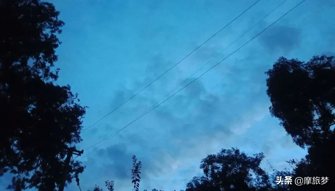 周西现在怎么样了(我是演说家卵巢癌周西还活着吗)