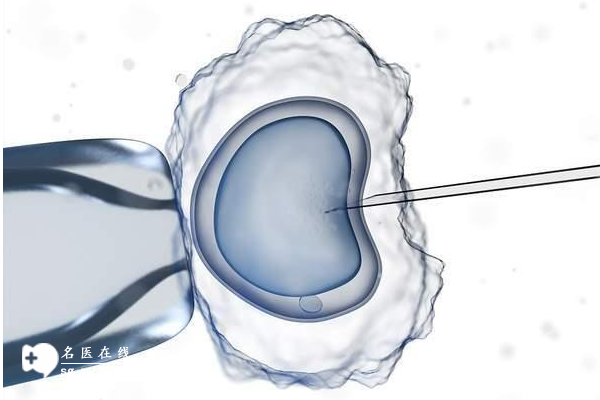 衡水三代试管包成功多少钱(11大收费项目一览)